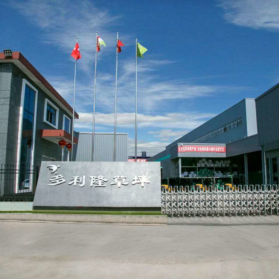 China Dorelom artificial grass group co,ltd. Unternehmensprofil