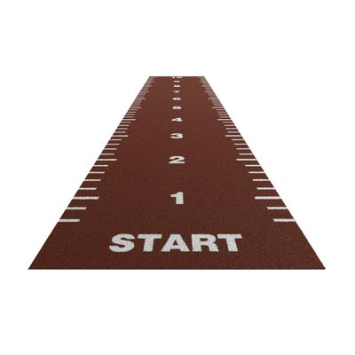 ISO9001 und ISO14001 zertifizierte synthetische Turf-Sportflooring mit hoher Dichte für Fitness