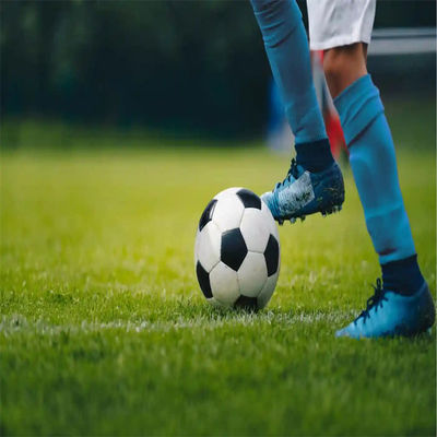 PE Grünes Minifußballfeld Kunstgras Fußballfeld für Fußballplatzböden