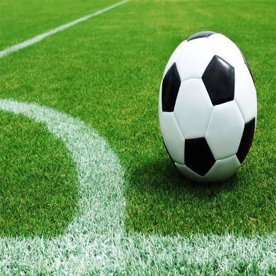 Natürliche 50 mm 60 mm Fußballgrün für Fußballstadion und Turnhalle