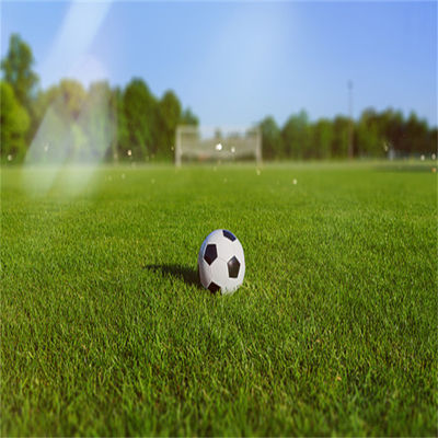 Natürliche 50 mm 60 mm Fußballgrün für Fußballstadion und Turnhalle