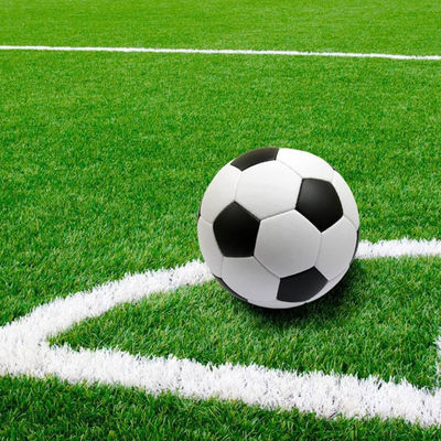 16.5 Stichrate Mini-Fußballplatz Kunstgras für Turnhallen Außensport Fußboden
