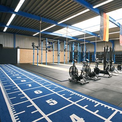 CE ISO9001 ISO14001 Zertifiziert Dorelom Training Athletic Turf Mat für Fitness-Boden