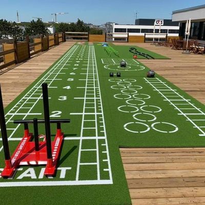 CE ISO9001 ISO14001 Zertifiziert Dorelom Training Athletic Turf Mat für Fitness-Boden