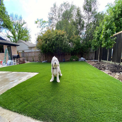 Garten-Sportboden Kunstgrün Rasen Landschaft Grün Teppich Rollen 40mm Schwarz Grün Farbe