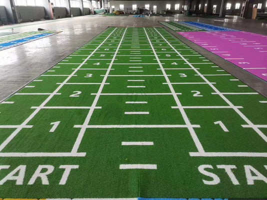 Vorgeschnittenes grünes künstliches Rasen-Sportfeld für das Fitnessstudio Laufstrecke Kraftschlitten 15mm Stapelhöhe