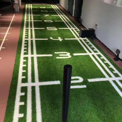 Sport Andere künstliche Rasenflächen Landschaft für Golf Fußballfelder Fitnessstudio Gras Kunstrasen