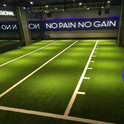 EN14904 Zertifizierte Sportböden aus Kunstgras für Innenräume mit Dichte 52500