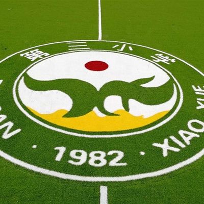 PE-PP-Rücklage Künstliches Gras Logo Farbmuster Synthetischer Rasen Mini-Fußballteppich
