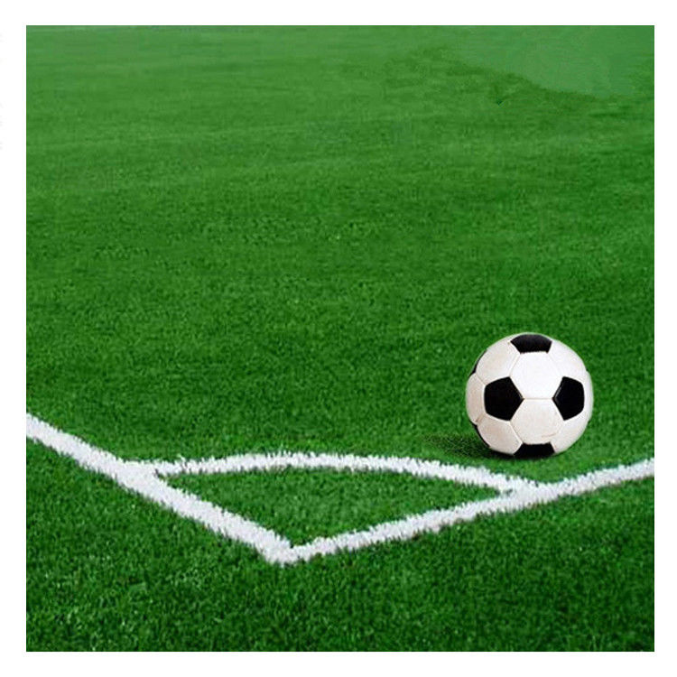 30mm 50mm 55mm 60mm Grüner künstlicher Rasen Rasenteppich für Fußballstadion