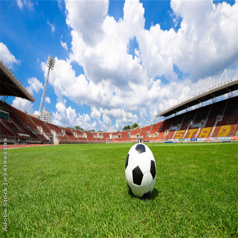 PE Grünes Minifußballfeld Kunstgras Fußballfeld für Fußballplatzböden