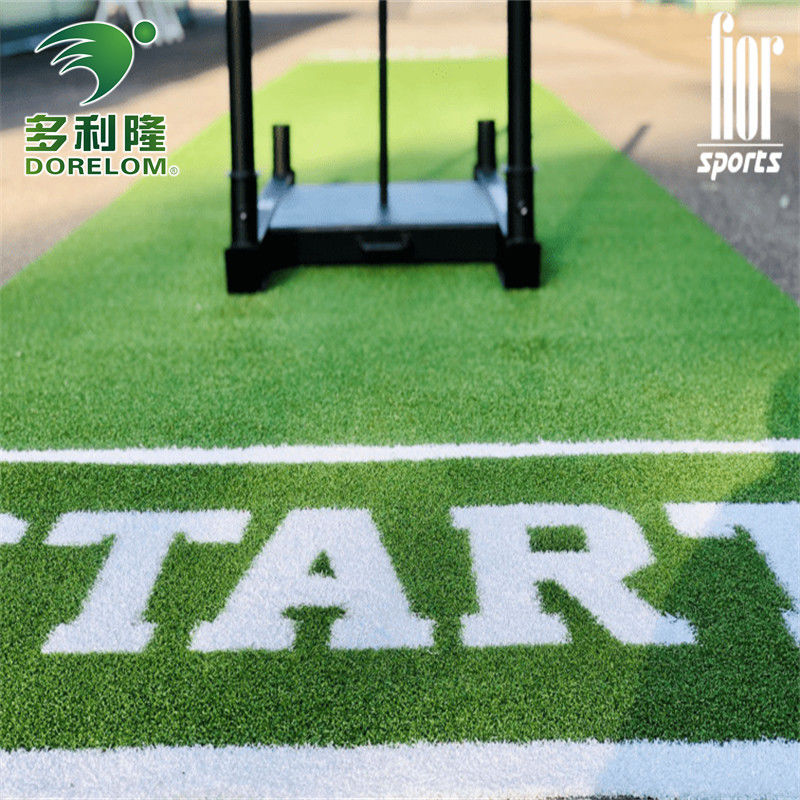 Garten Sport Fitnessstudio Fußbodenmatte mit Dorelom Logo kundenspezifische Schlittenbahn Kunstgras