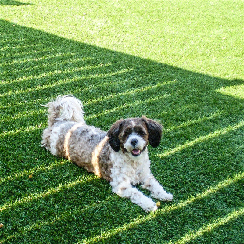 30 mm hohes künstliches Gras für Tischtennis im Garten