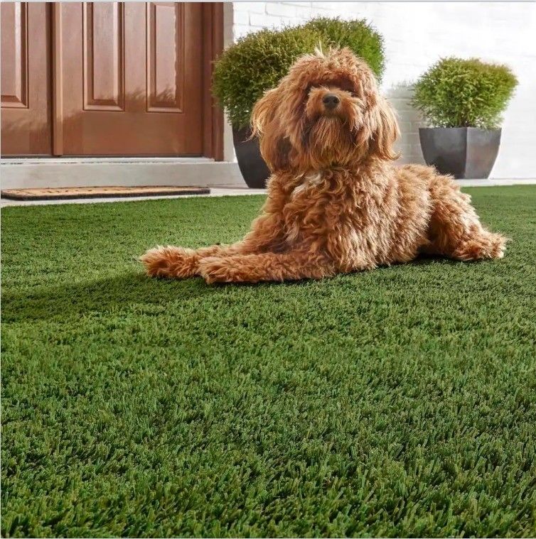 Natürlich aussehendes künstliches Gras für Garten Hintergrund und Haustiere 2m/4m*25m 3/8inches Gewicht